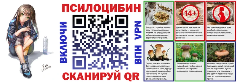 Галлюциногенные грибы MAGIC MUSHROOMS  Ессентукская 